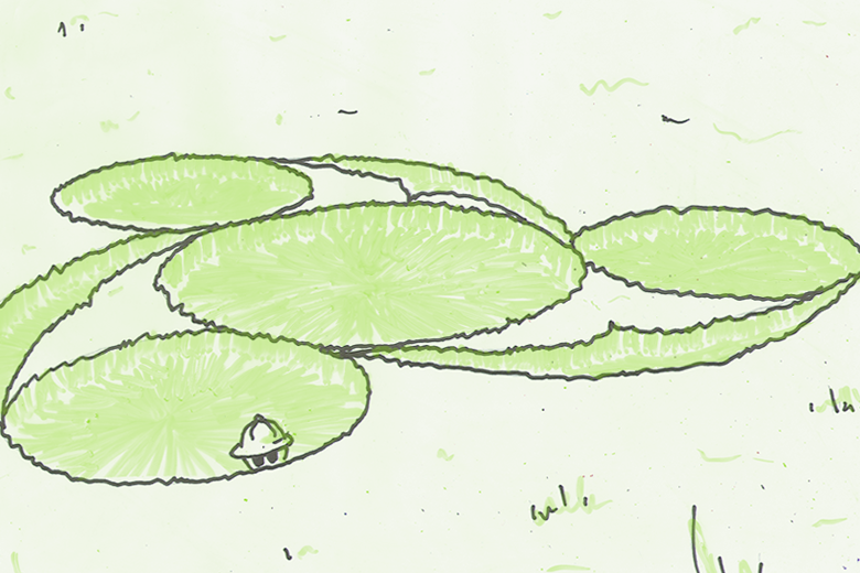 Ball With Crop Circles and Hat