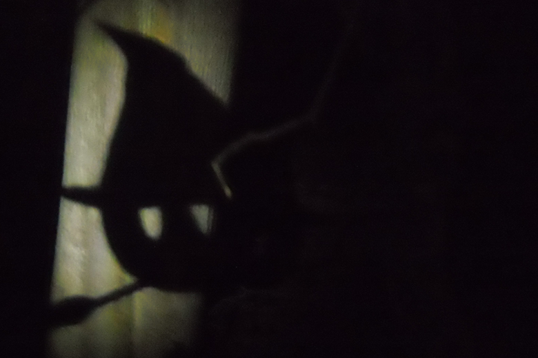 Ball the Phantom (2/4)