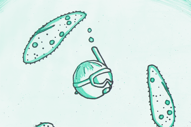 Ball With Paramecium and Hat
