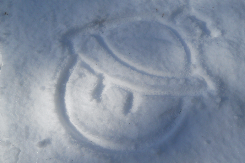 Snow Ball (1/3)
