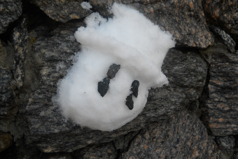 Snow Ball (2/3)